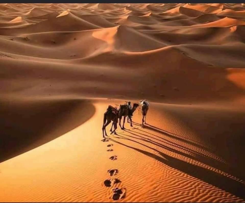 Camp Desert Bivouac Chegaga El Gouera Buitenkant foto
