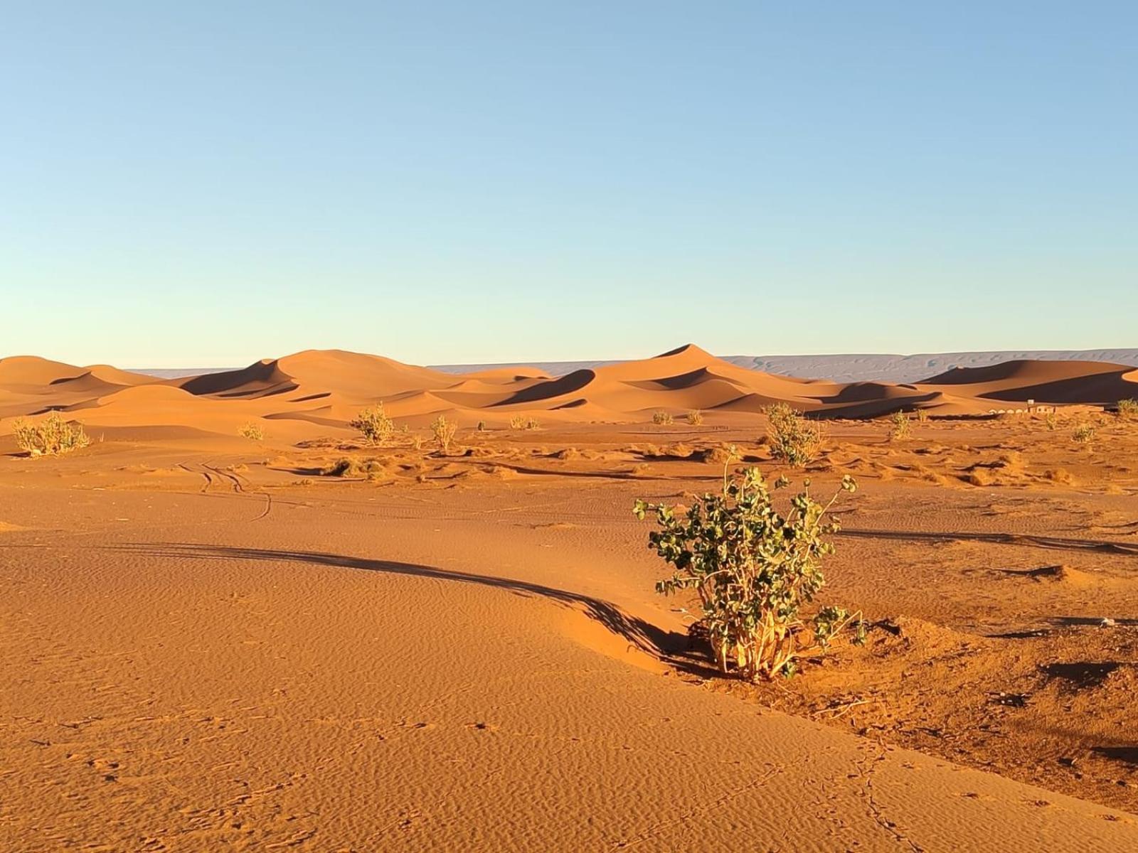 Camp Desert Bivouac Chegaga El Gouera Buitenkant foto