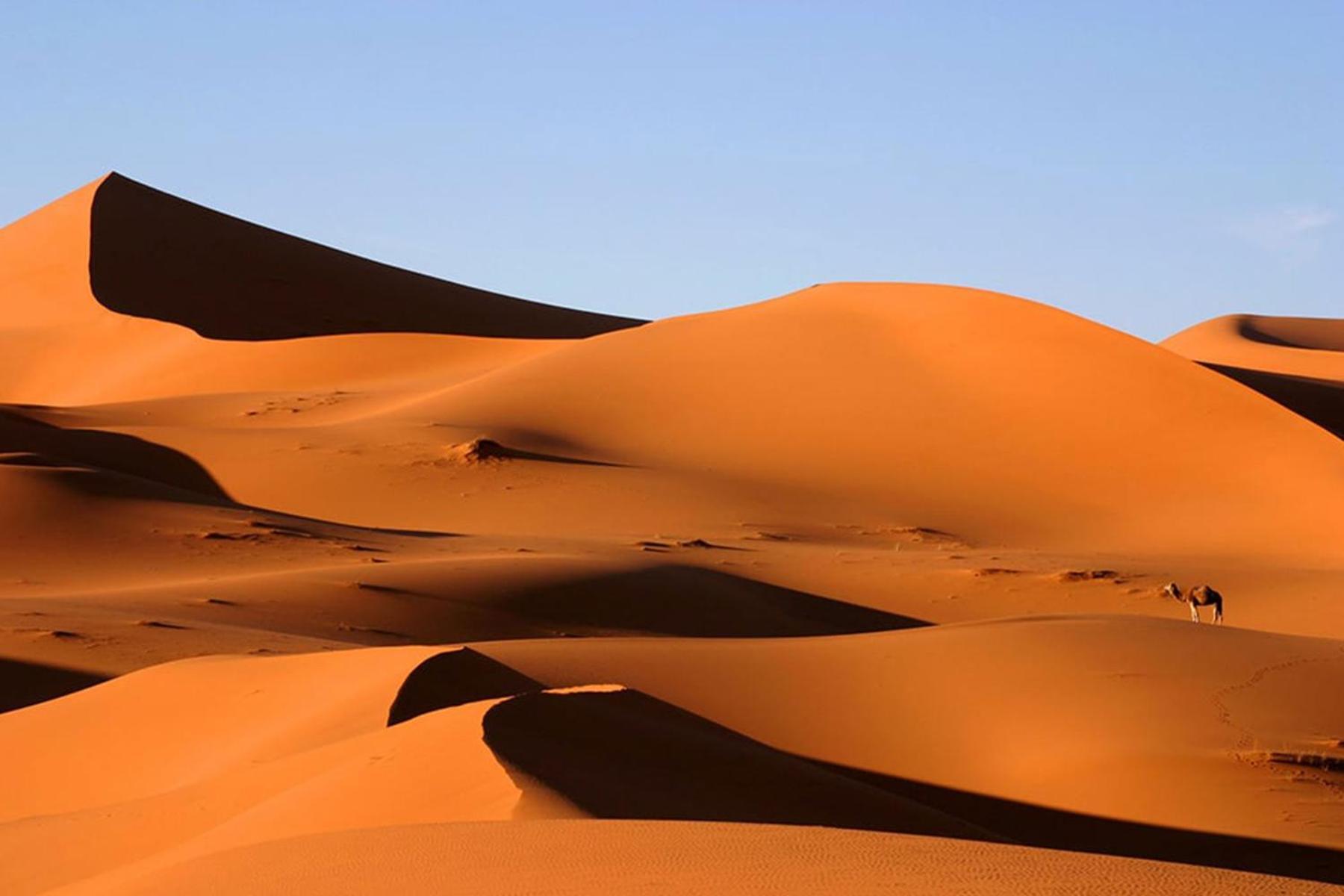 Camp Desert Bivouac Chegaga El Gouera Buitenkant foto