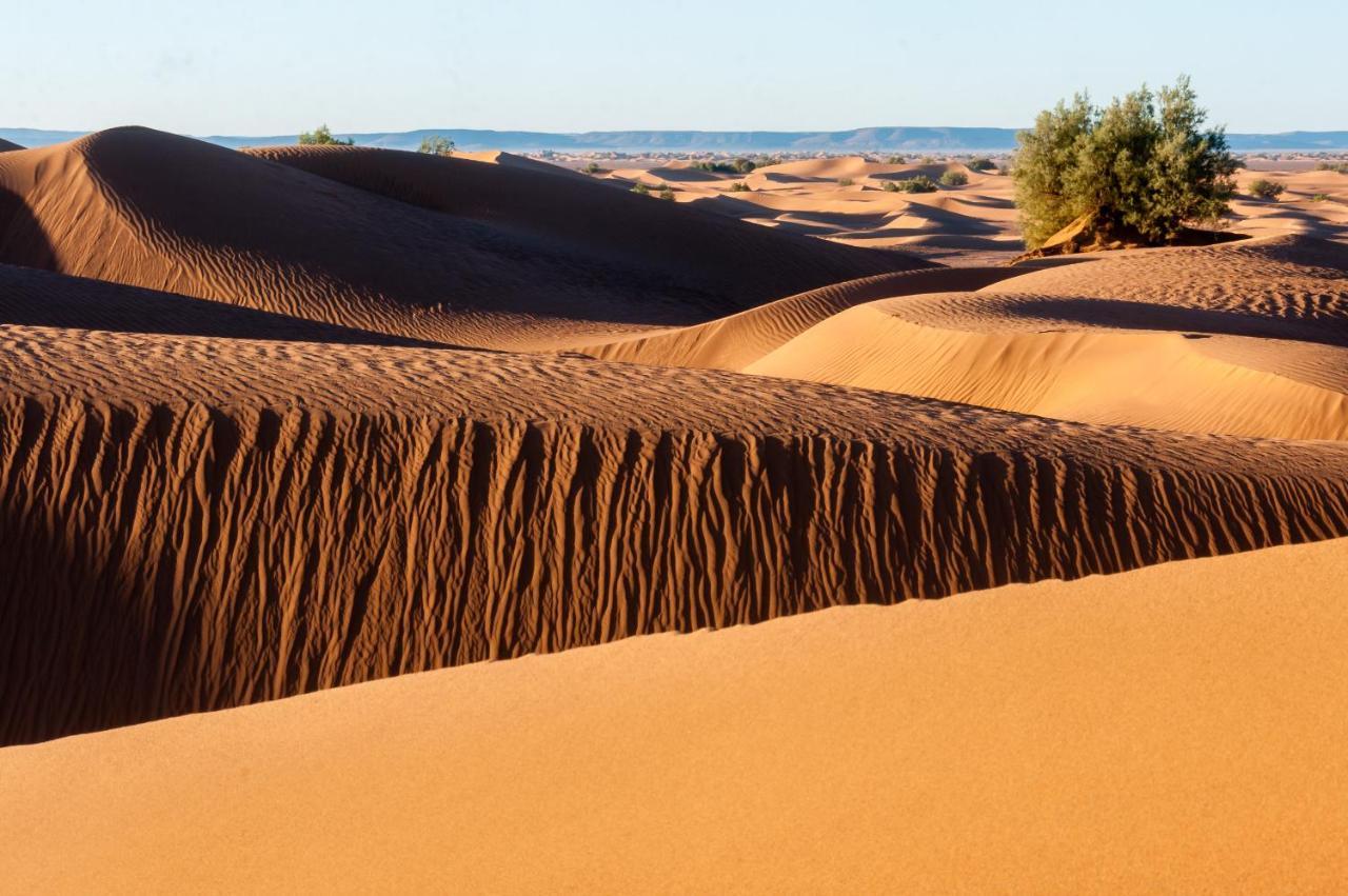 Camp Desert Bivouac Chegaga El Gouera Buitenkant foto